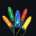 Christmas LED Light String